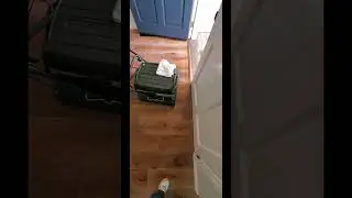 Complete Hardwood Floor Deep Cleaning | Wire Brushed Oak Flooring | See Results Fast | Filth Removal