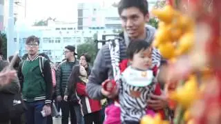 What would Chinese do during Lunar New Year? (LINK Centre 2016)