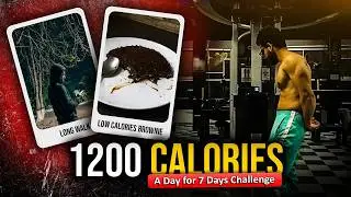 The Final Hurdle: Can I Finish the 7-Day Challenge? (Day 6 Update) | Night walk