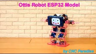 Ottis' Paradise Model