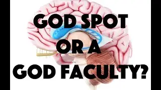 The Brain's God Spot or a God Faculty?