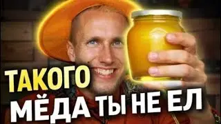 Теперь вы точно начнете ЕСТЬ МЁД! Мёд способен заменить правильное питание? 😱