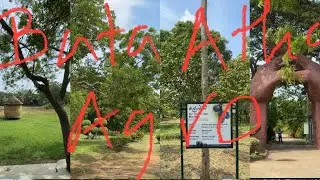  Agro Technology and tourism Park - Bata Atha