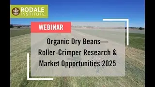 Webinar: Organic Dry Beans&mdash;Roller-Crimper Research & Market Opportunities 2025