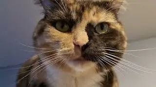 Pippa judging your every move