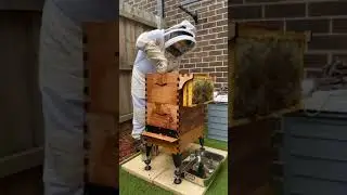 2022-05-01 Last Bee Inspection Before Winter