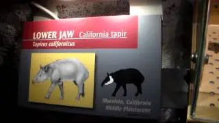 Geologic Wonders