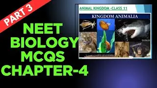 NEET Animal Kingdom: Top 20 MCQs High-Scoring