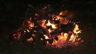 ESTE FIN DE SEMANA SE CELEBRA LA FESTIVIDAD DE SAN ANTÓN - NOTICIA INFORMATIVOS 16/01/2026