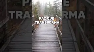 PAZ QUE TRANSFORMA! 🕊️✨🔥 #PazDeJesus #Transforma&ccedil;&atilde;oInterior 🙏