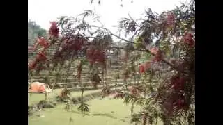 Chautari Happy Hooping & Flow Arts, Pokhara Nepal, 1 day before 1 week jam