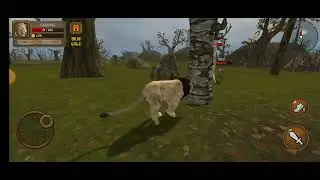 lion fighting game video ( ultimate lion fight ) #lionfight #lion #animals