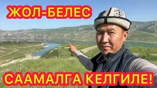 Ой-Боой!  Керемет жерде СААМАЛ ичип, ден-соолукту чыңдаңыз  |  ЖОЛ БЕЛЕС ачылды