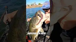 Fishing on a float tube! #fishing#floating#floatation#largemouthbass#diy#summer#water#lakes#explore