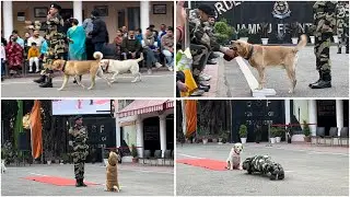 Highly Trained BSF Dog Squad | Border Security Forces Dog Squad | Suchetgarh India Pakistan Border