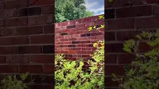 #concretecleaning #externalcleaning #patiocleaning #pressurewashing #atlanta