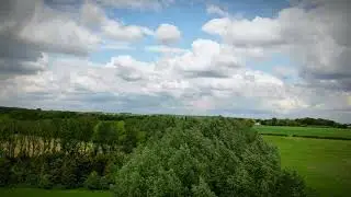Short flight above road and tall trees