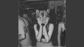 Last Wolf