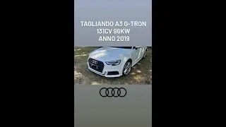 Tagliando Audi a3 G-tron 1.5 131cv 2019 (ITALIANO)