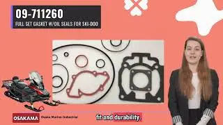 Ski-Doo Rotax 600 / 700 Full Gasket Set w/ Oil Seals 09-711260 | Osaka Marine