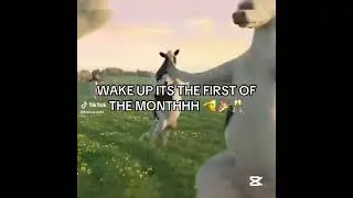 WAKE UP.. IT'S THE FIRST OF THE MONTH #cow #meme #month #first #year