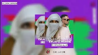 dMb_Mic_NCh_97_feat_M_selybaba_(El Ghorba_-_الغربه)_NIVEAU_Song_rap_rim 