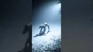 Cryptid Caught on Camera?! 😱 Unidentified Creature Footage #shorts