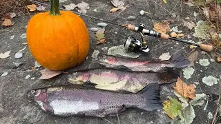 NJ October stocked rainbow trout fishing in New Jersey! Season opener, 3 Rainbows & 1 Rogue Pumpkin.