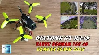 Diatone GT R349 |Tattu 850mAh 75C 4S | Gemfan Flash 3052