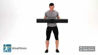 ViPR Ice Skater by Virtual Fitness