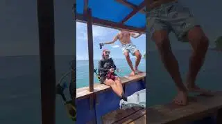 Another beautiful day diving with Manta Dive on Gili T 🤿🏝️ July 2024