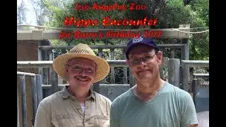 Hippo Encounter at LA Zoo for Barry's Birthday