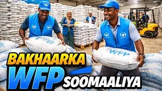 Bakhaarka Raashiinka WFP Soomaaliya Oo La Xaday – Yaa Ka Danbeeya?