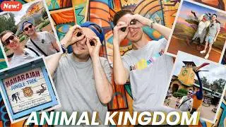 Top Things to Do at Animal Kingdom Besides Rides | Full Relaxed Disney Day