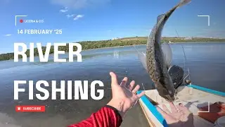Eastern Cape River Fishing - Grunter, Cob and Steenbras