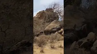 HadzaLand of Hadza Tribe, very cool.... #africa #hadzabetribe #hadza #hunting