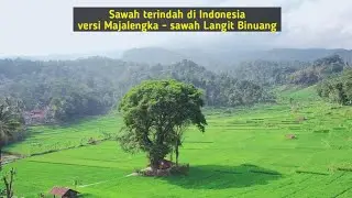 Sawah terindah di Indonesia versi Majalengka // Sawah Langit Binuang