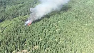 Fire Season 2020