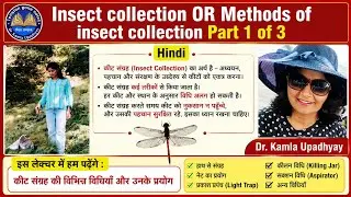 Insect collection in hindi l Methods of insect collection Part1 of 3 l insects l Collection 