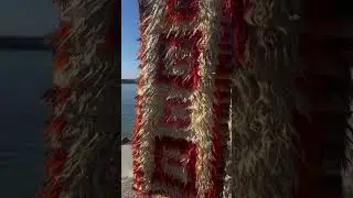 Eye Catching Rug Design
