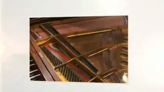 Steinway Pianos for Sale - Steinway Model M Grand Piano - Used Steinway Pianos for Sale