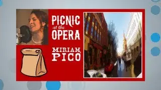 Picnic at the Opera 2/12/13 - Featuring the True Falsettos