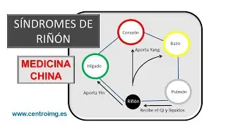 Kidney Syndromes, According to Chinese Medicine. IMG Center