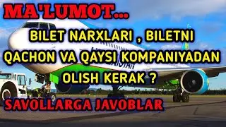 BILET NARXLARI CHARTER REYS VA ODDIY REYSLAR