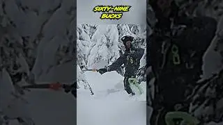 SLED Toll Both 🤣🤣