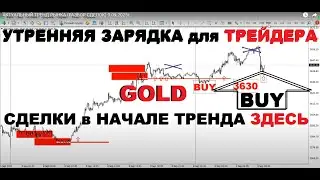 CURRENT MARKET TREND (TRANSACTION ANALYSIS) 09.09.2025