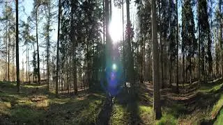 Test 360* video - Houdringe Bos 4-2-20
