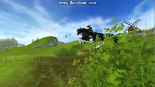 Shire horse running