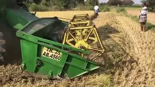 Rice Harvesting To Rice Packaging Process
