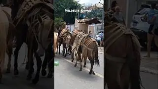tropeiro profiss&atilde;o rara